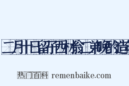 二月十日留子西材翁二弟晚酌造句是什么意思的图片